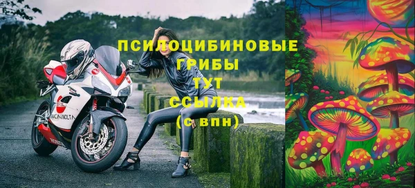 эйфоретик Белоозёрский