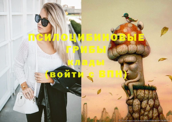 гидропоника Белокуриха