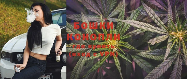 гидропоника Белокуриха