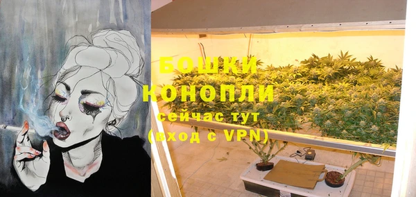 гидропоника Белокуриха