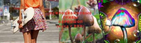 гидропоника Белокуриха