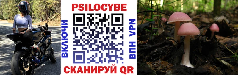 Псилоцибиновые грибы прущие грибы  как найти наркотики  Горячий Ключ 